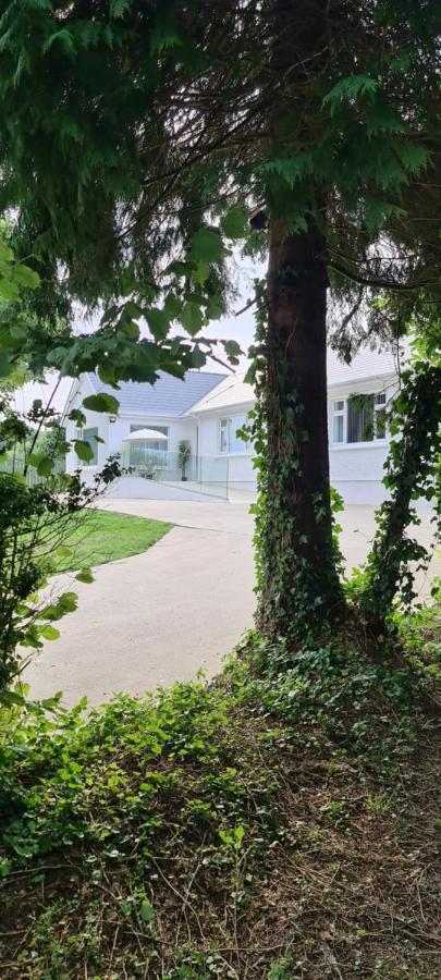 Annie'S House With Thermal Health Spa Moville Dış mekan fotoğraf